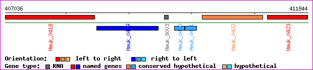 gene map