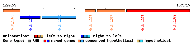 gene map