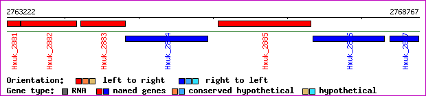 gene map