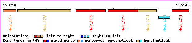 gene map