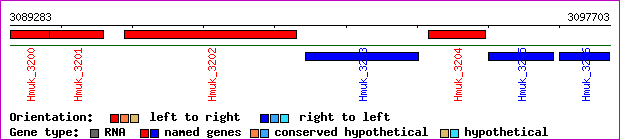 gene map