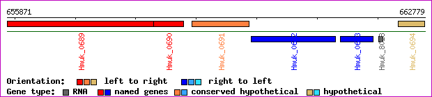 gene map