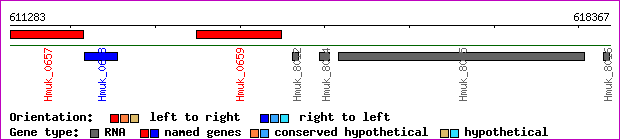 gene map