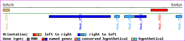gene map