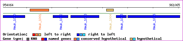 gene map