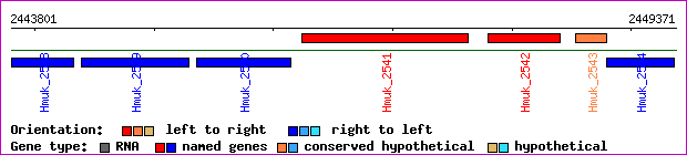 gene map