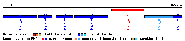 gene map