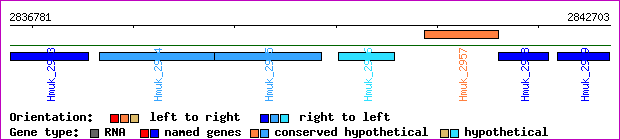 gene map
