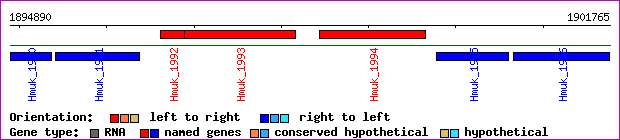 gene map