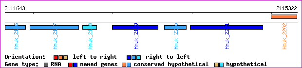 gene map