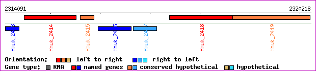 gene map