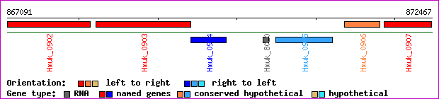 gene map