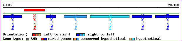 gene map