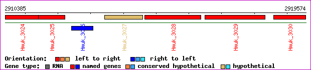 gene map