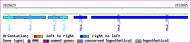 gene map