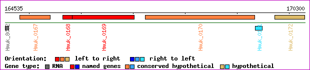 gene map