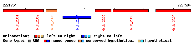 gene map