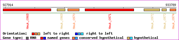 gene map