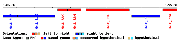 gene map