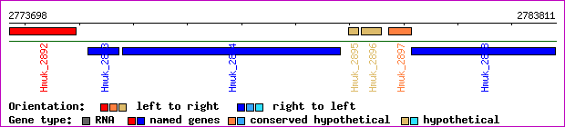 gene map