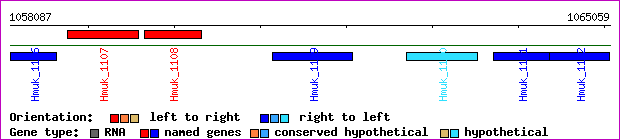 gene map