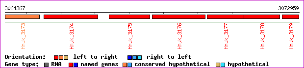 gene map