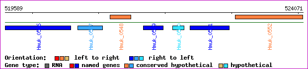 gene map