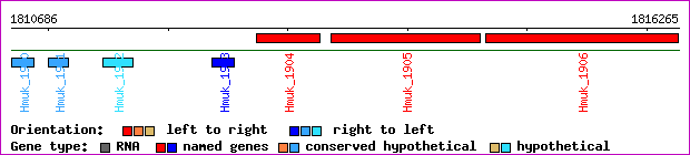 gene map