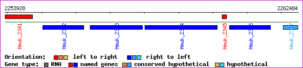gene map