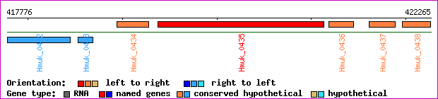 gene map