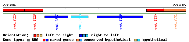 gene map