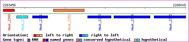 gene map