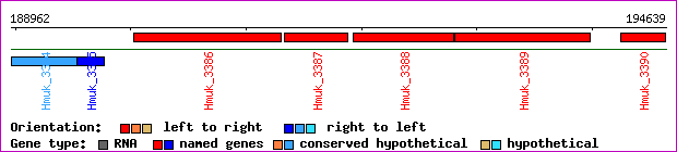 gene map