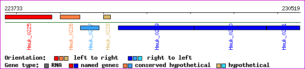 gene map