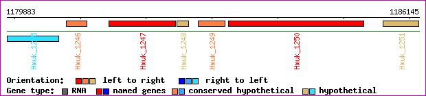 gene map