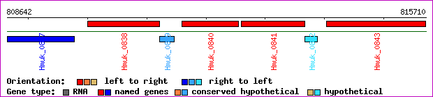 gene map