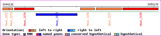 gene map