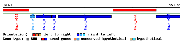 gene map