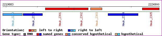 gene map