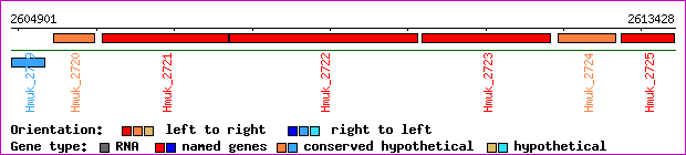 gene map