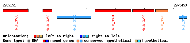 gene map