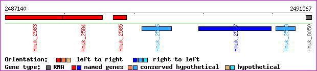 gene map