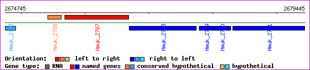 gene map