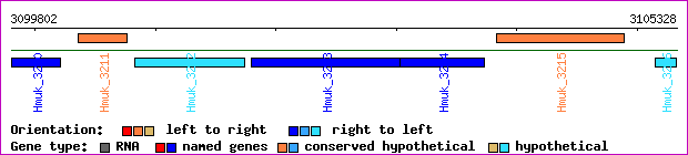 gene map