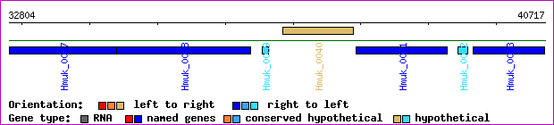 gene map