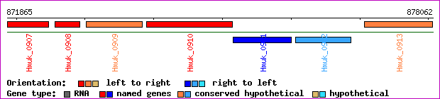 gene map