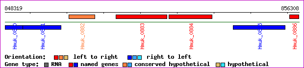 gene map