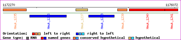 gene map