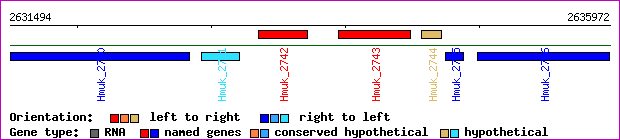 gene map