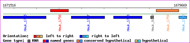 gene map